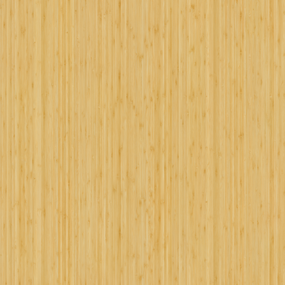 Bamboo