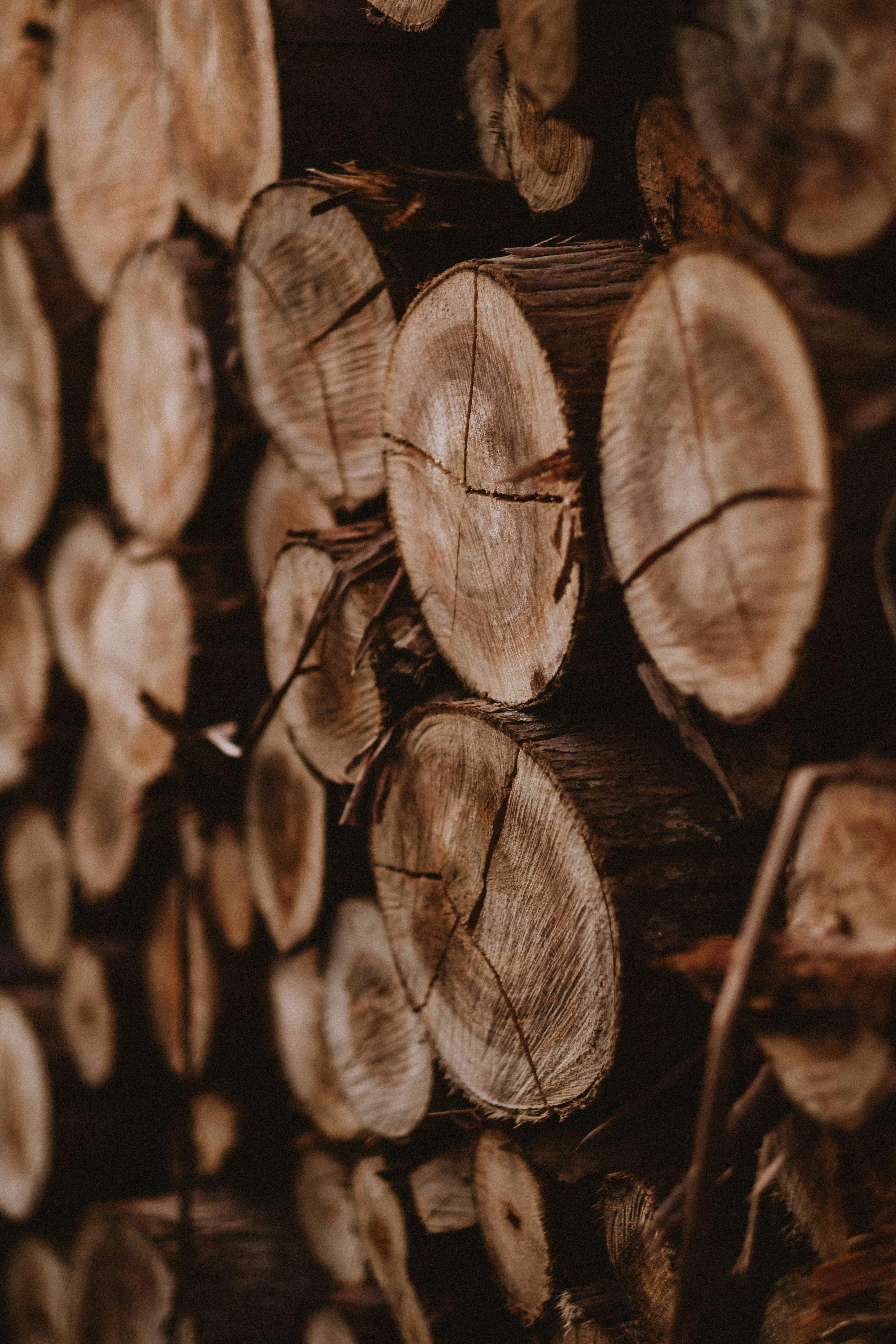 Wood News